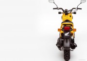 Honda Zoomer Honda Zoomer